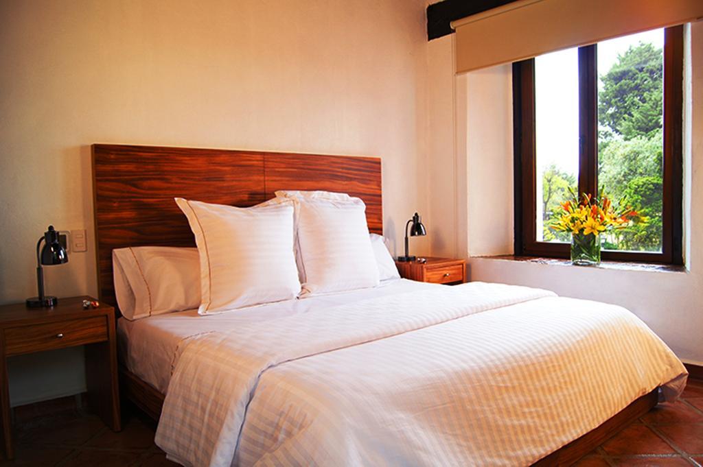 Hotel Hacienda San Martin 托卢卡 客房 照片